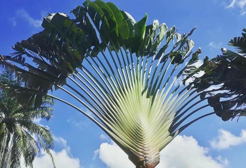 هاستل Casa Valentine Pousada Itacaré