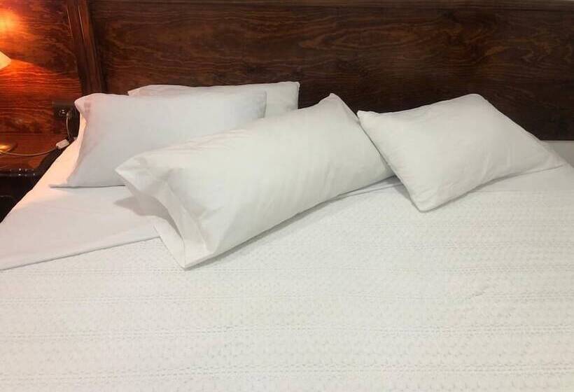 بنسيون Calli Yolotl