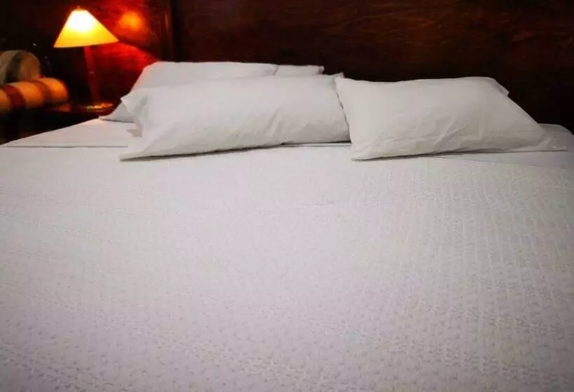 Majatalo Calli Yolotl