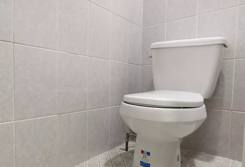 Majatalo Calli Yolotl