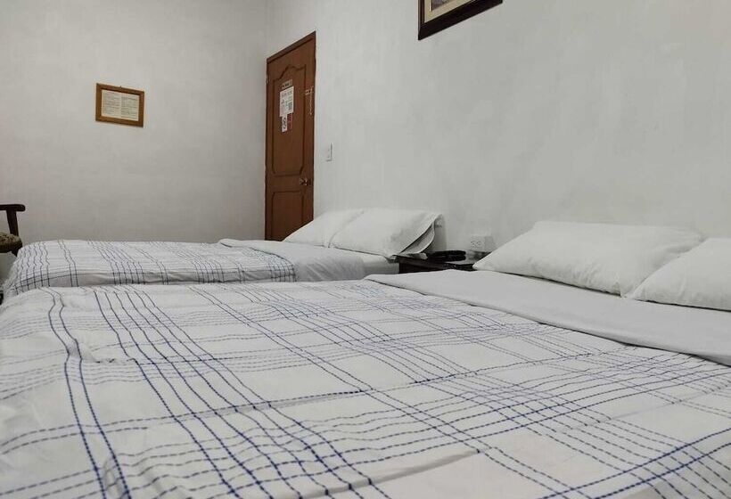 بنسيون Calli Yolotl