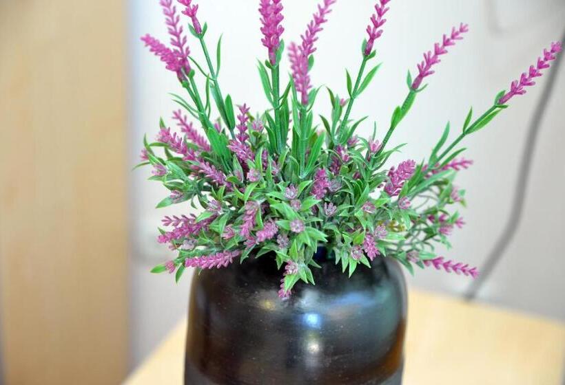 膳宿费 Rooms Petrovic