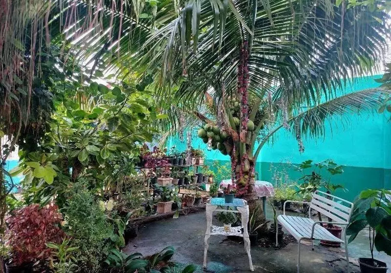 Retkeilymaja Pete's Inn