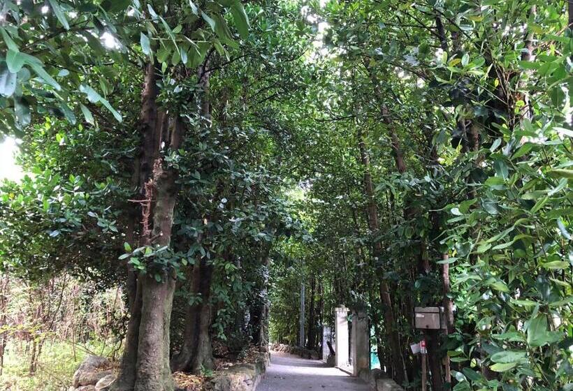 펜션 Mannaya Seven Hotels And Resorts