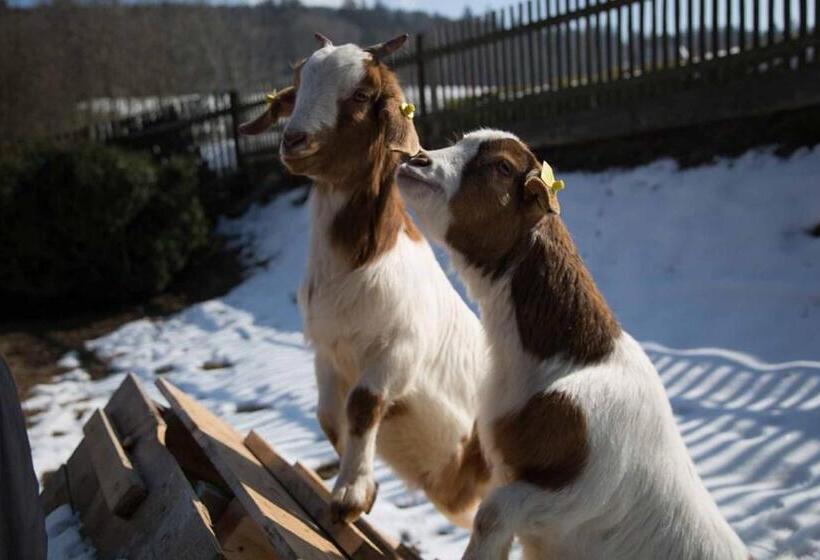 Пансион Talblickhof