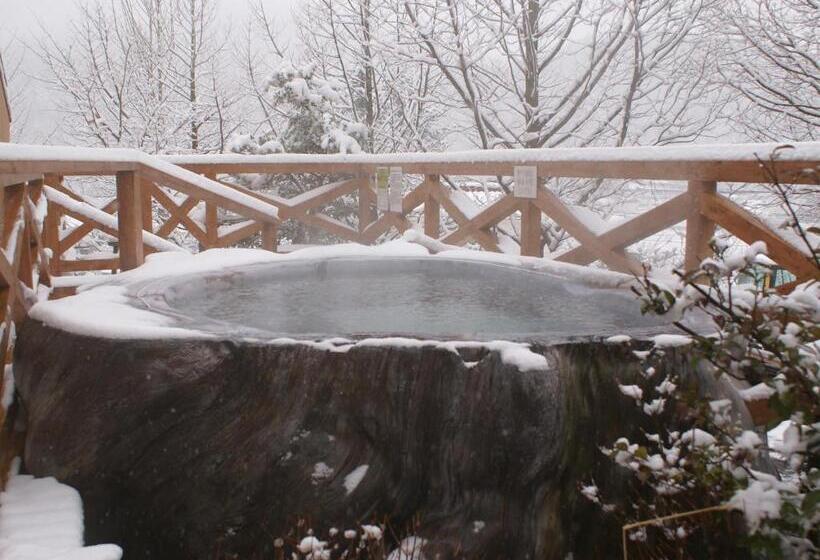 酒店 Megahira Onsen Quelle Yoshiwa