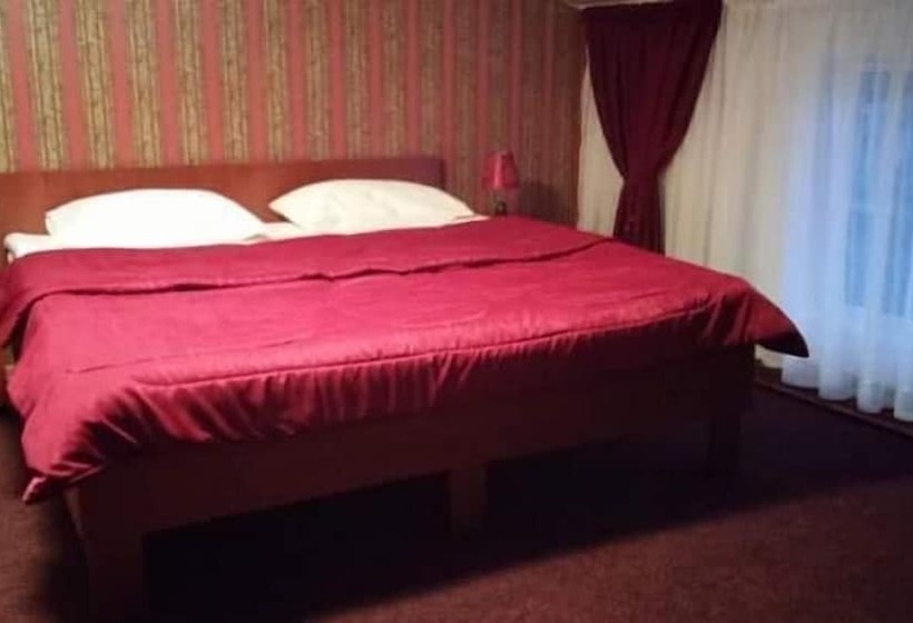 פנסיון Casa De Vis Pucioasa