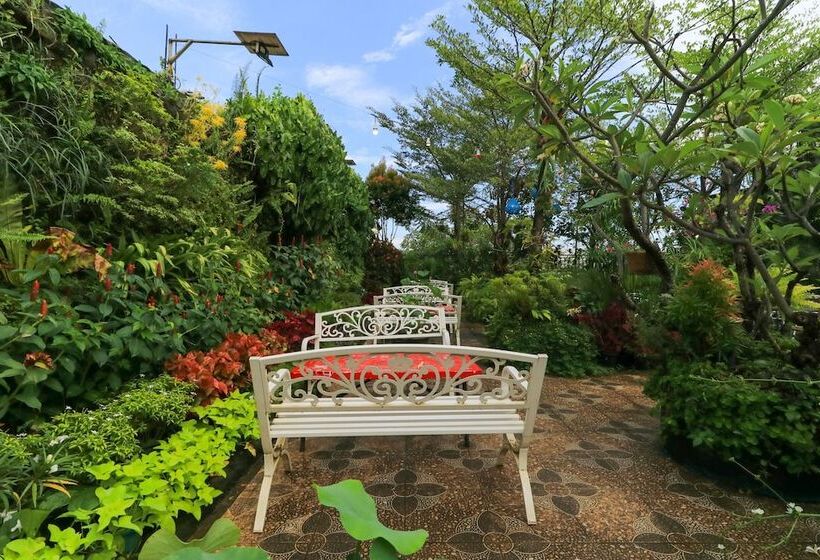 פנסיון Labuana Homestay & Cafe Garden