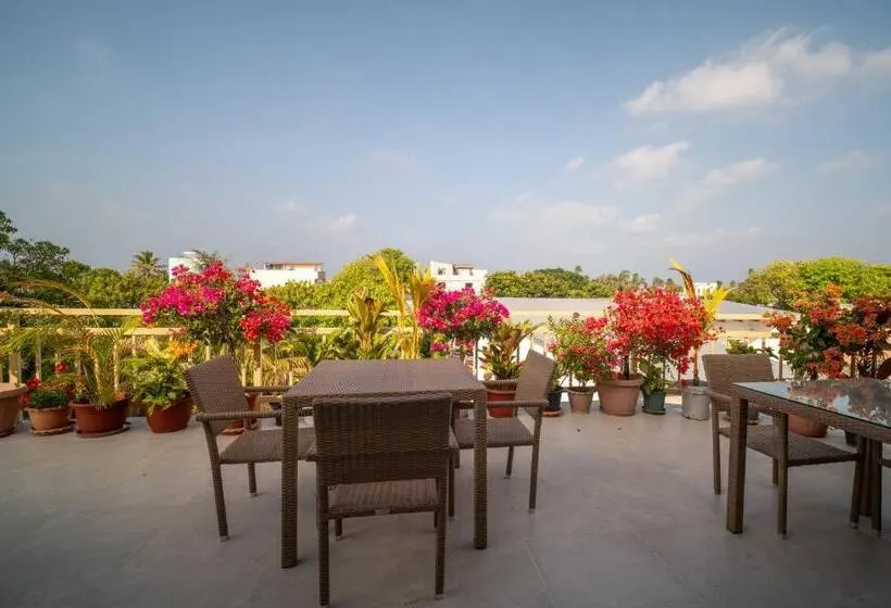 پانسیون Vilu Himmafushi