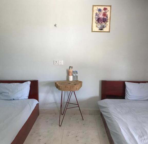 هاستل The Small Guest House