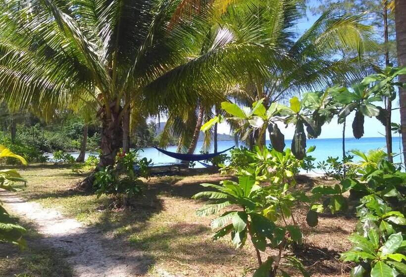 膳宿费 Lonely Beach