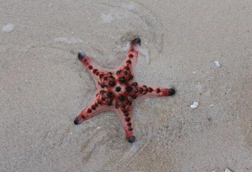 膳宿费 Lonely Beach