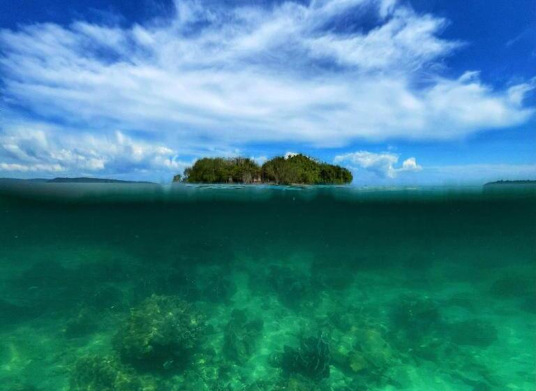 膳宿费 Lonely Beach