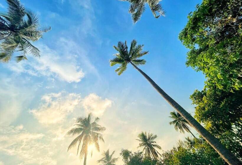 膳宿费 Lonely Beach