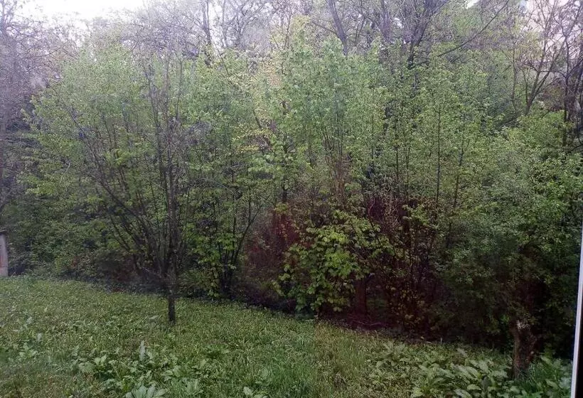پانسیون Apartman Miljkovic