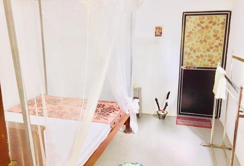 Panzió Surfing Waves Madiha