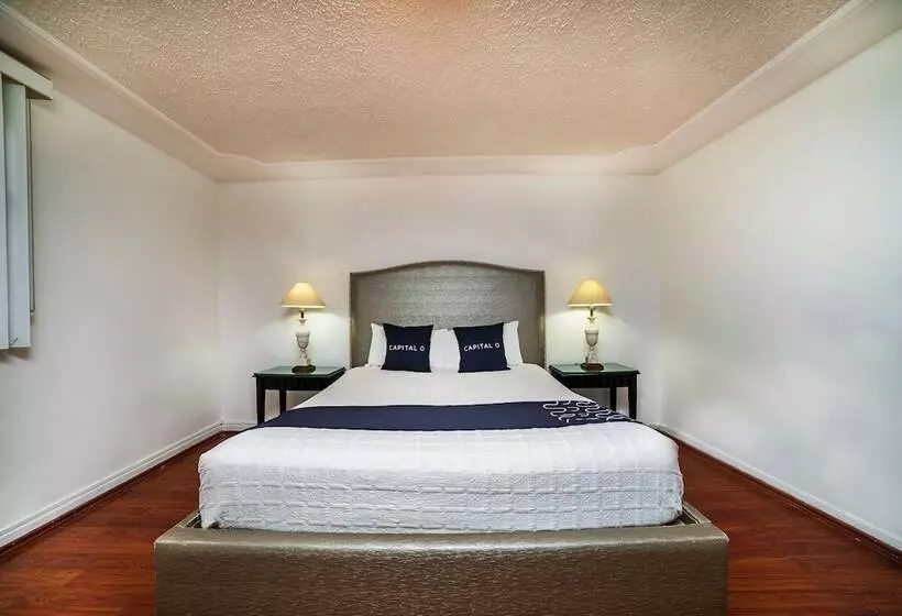 پانسیون Capital O Posada Del Virrey