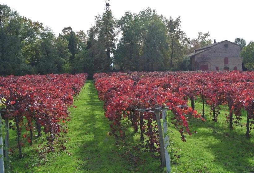 فندق Alloggio Cantalupo