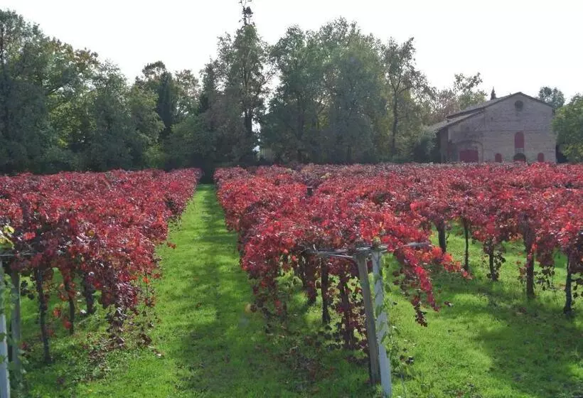 هتل Alloggio Cantalupo