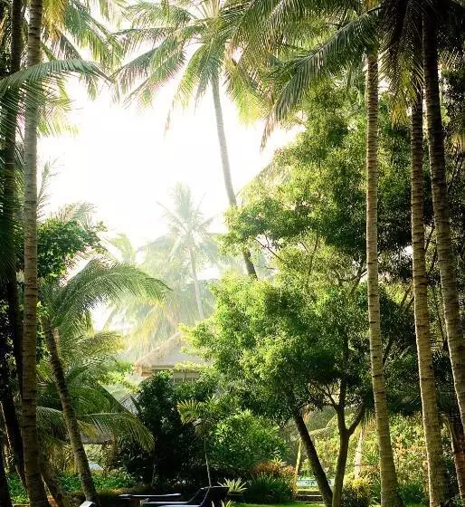 ホテル Gaia Oasis Beach Resort