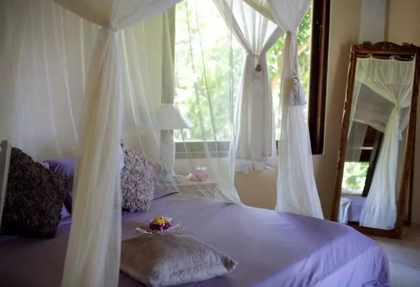 ホテル Gaia Oasis Beach Resort