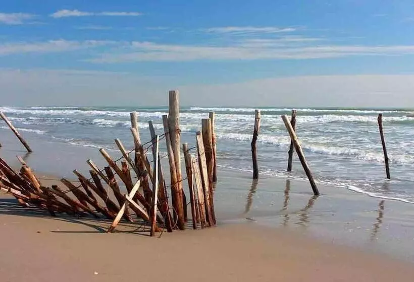 Hotelli Le Neptune En Camargue
