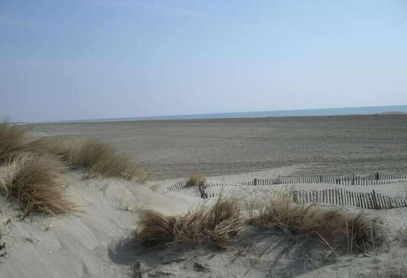 هتل Le Neptune En Camargue