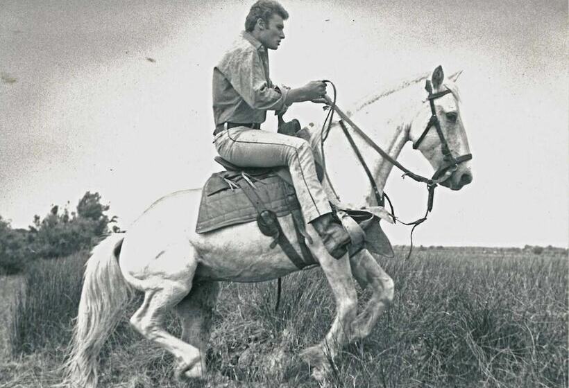 هتل Le Neptune En Camargue