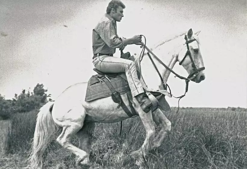 Hotelli Le Neptune En Camargue