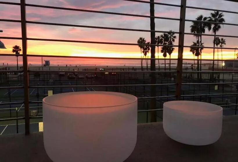 Ocean Front Vortex Female Hostel Private Rooms Free Bikes