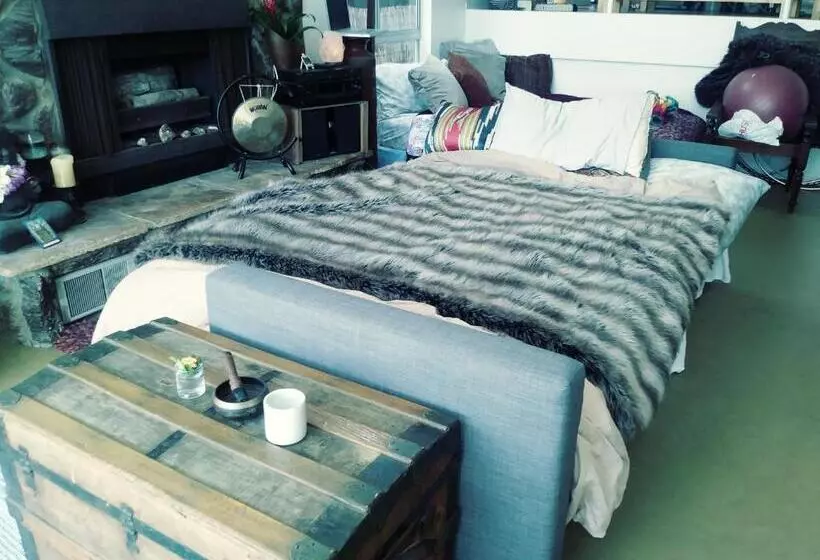 Ocean Front Vortex Female Hostel Private Rooms Free Bikes