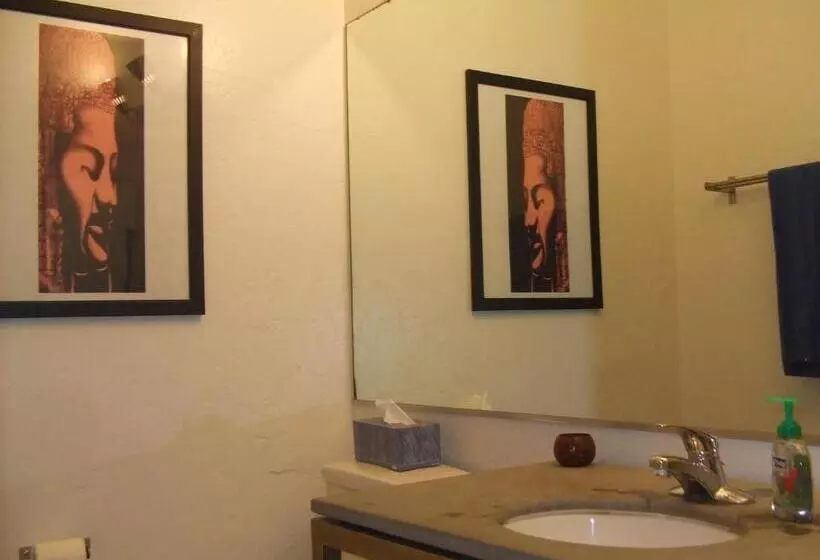 Ocean Front Vortex Female Hostel Private Rooms Free Bikes