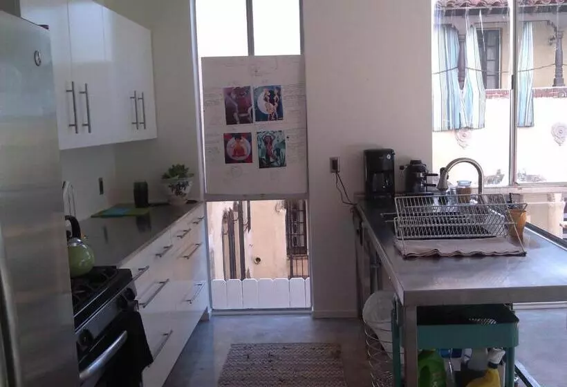 Ocean Front Vortex Female Hostel Private Rooms Free Bikes