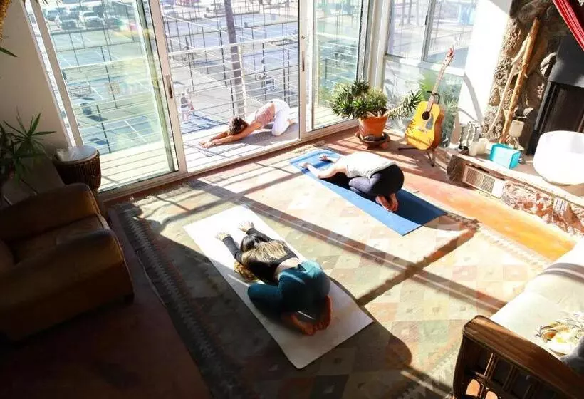 Ocean Front Vortex Female Hostel Private Rooms Free Bikes