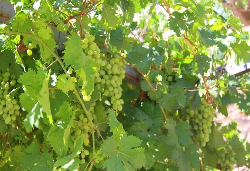 Shurooq Shams Hotel & Tours By Sunrise