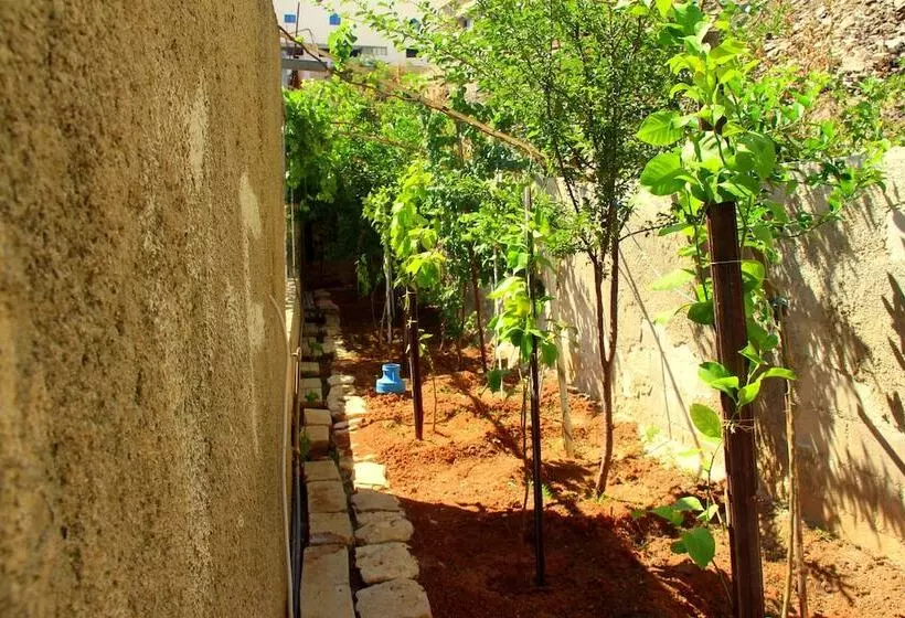 Shurooq Shams Hotel & Tours By Sunrise