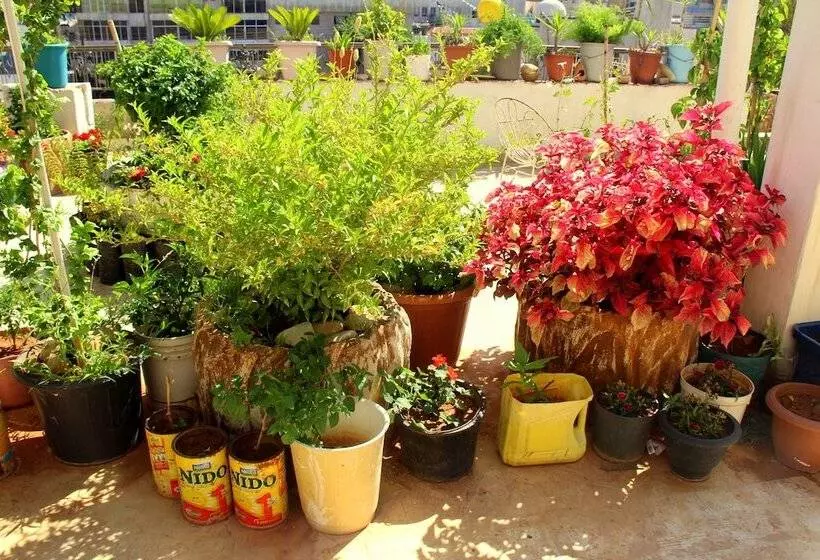 Shurooq Shams Hotel & Tours By Sunrise