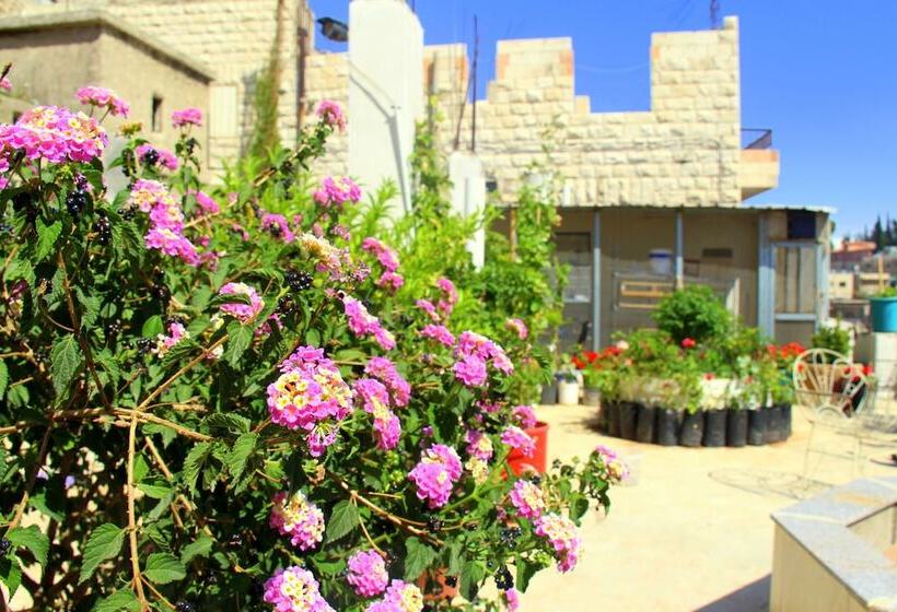 Shurooq Shams Hotel & Tours By Sunrise