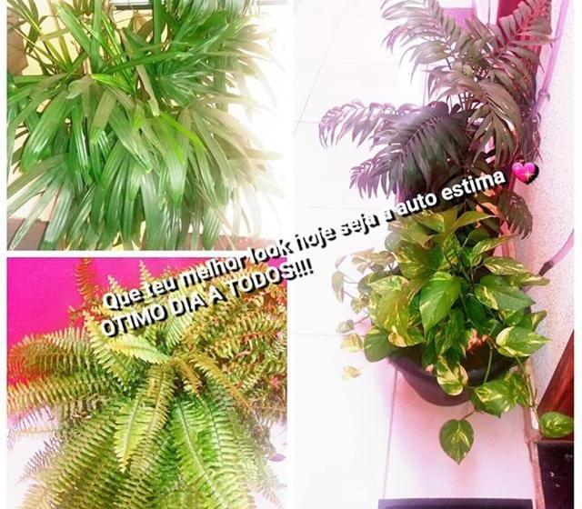 فنادق الكبسولة Pousada Executive Express