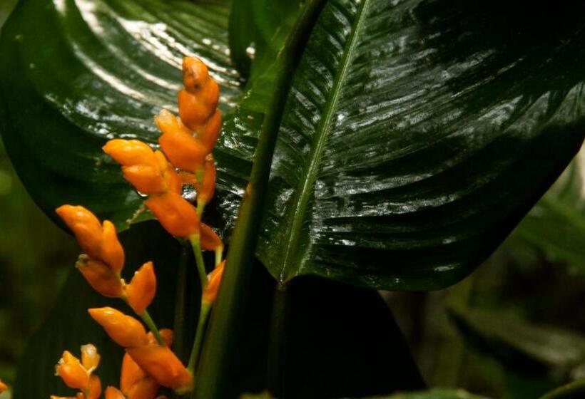 ペンション Eco Hotel El Columpio