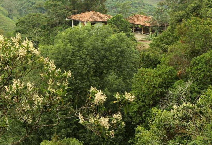 ペンション Eco Hotel El Columpio