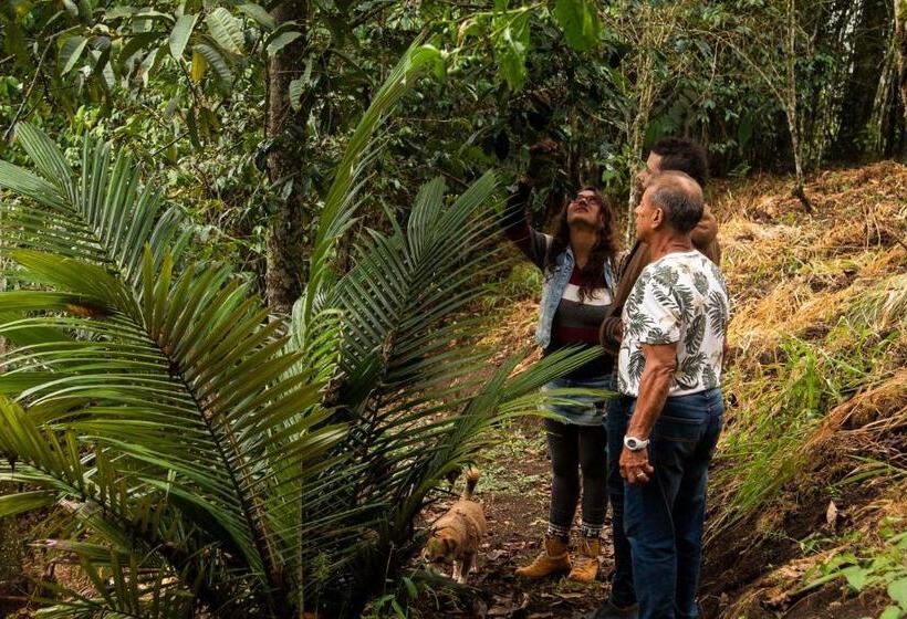 ペンション Eco Hotel El Columpio