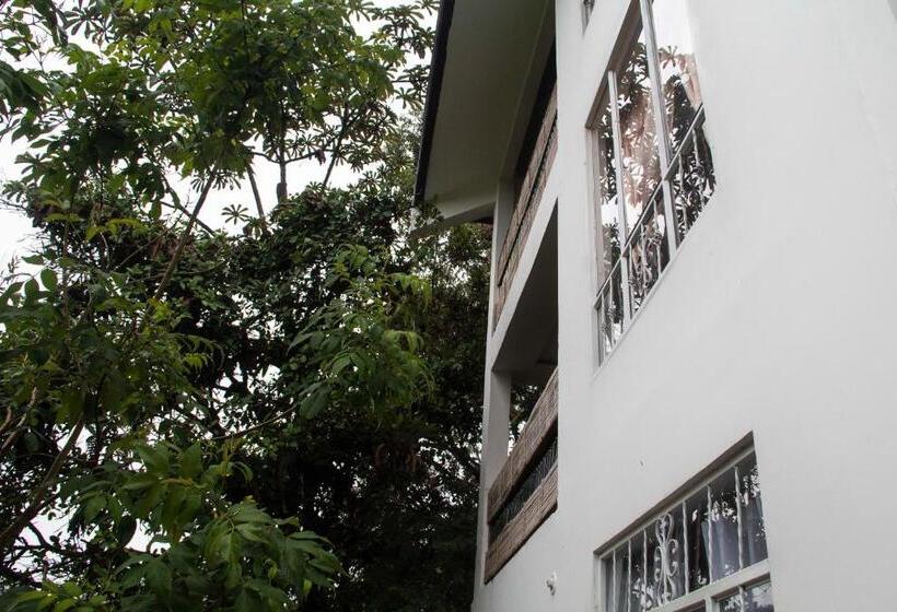 ペンション Eco Hotel El Columpio