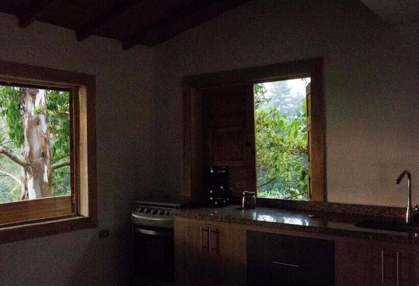 ペンション Eco Hotel El Columpio