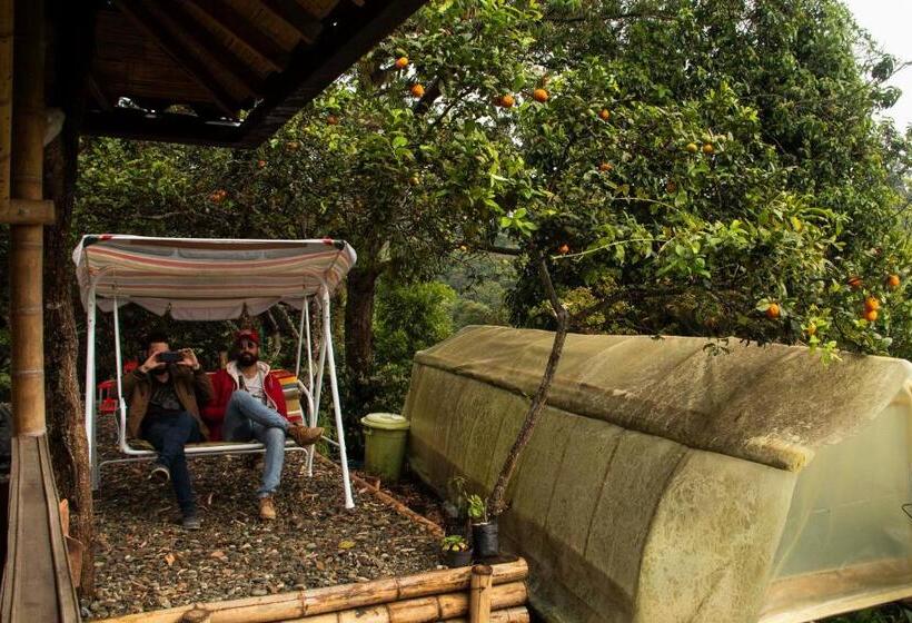 ペンション Eco Hotel El Columpio