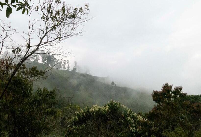 ペンション Eco Hotel El Columpio