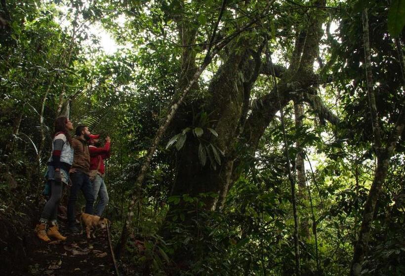 ペンション Eco Hotel El Columpio