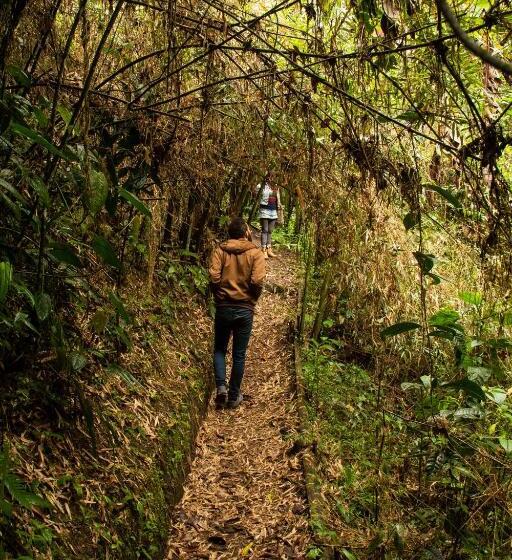 ペンション Eco Hotel El Columpio