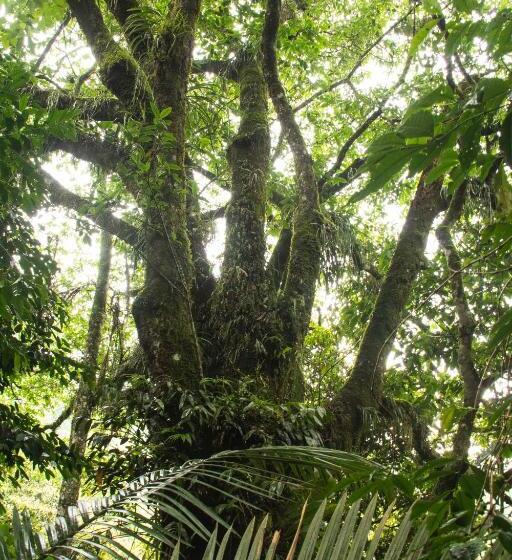 ペンション Eco Hotel El Columpio