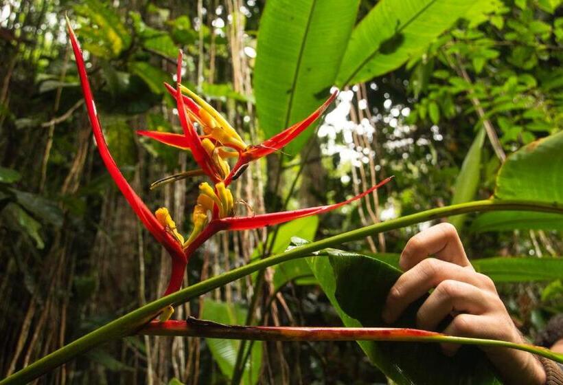 ペンション Eco Hotel El Columpio